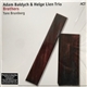 Adam Bałdych & Helge Lien Trio - Brothers