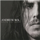 Andrew W.K. - Never Let Down