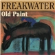 Freakwater - Old Paint